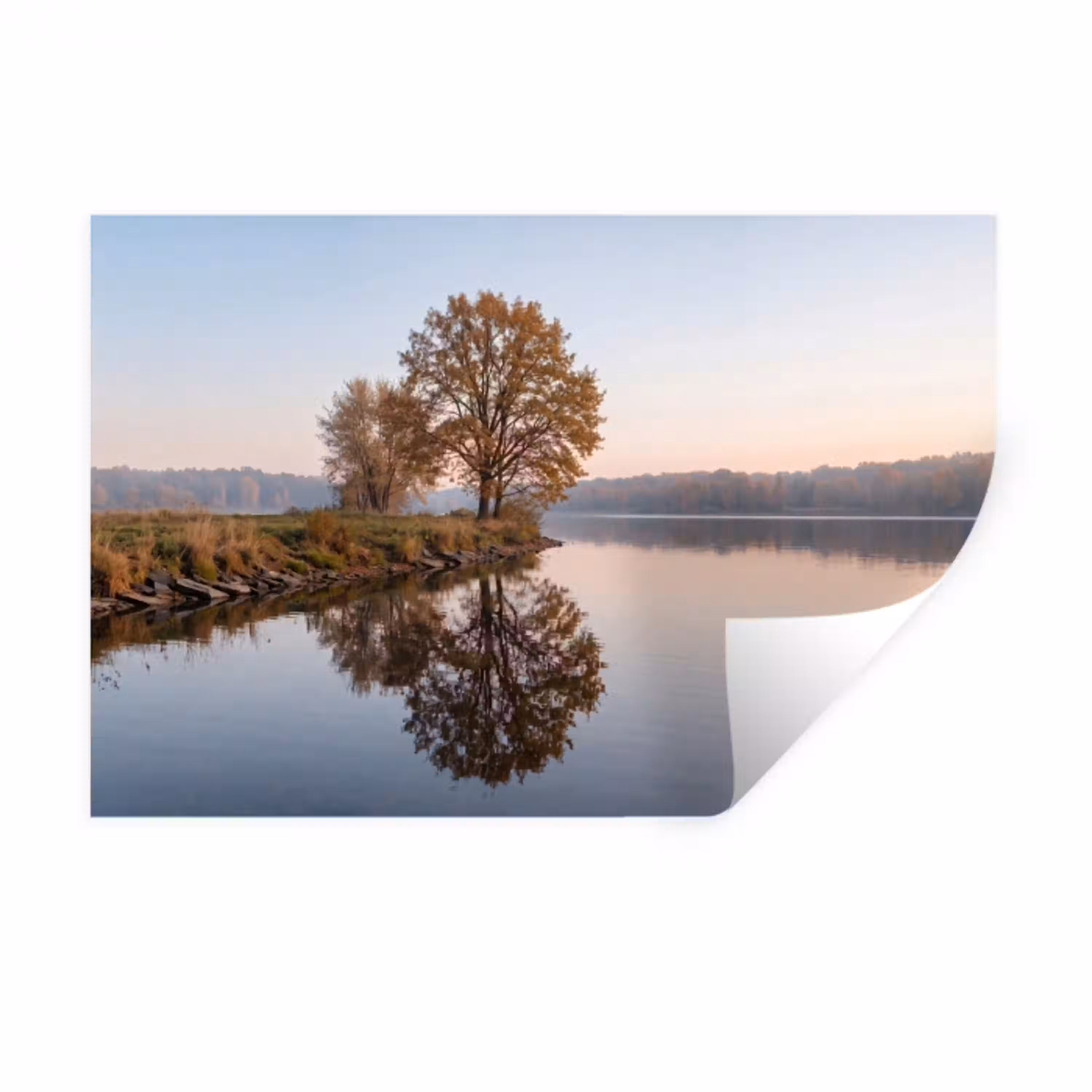 Bomen - Reflectie - Water - Zonsopgang - Serene Muursticker klein -3d