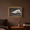 Paarden - Zwart - Wit - Kudde Light Box met batterij (Wandlamp) middel -sfeer4