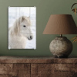 Paard - Kop - Winter - Dieren - Wit plexiglas 5mm klein -sfeer3