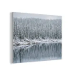 Bos - Reflectie - Meer - Winter - Serene PET vilt klein -3d