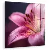 Roze - lelie - Dauwdruppels plexiglas 5mm klein -zzzproduct_nieuw