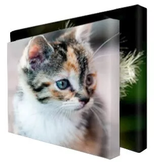 Foto op canvas vergelijken