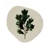 Eikenbladeren - Beige - Groen - Golvende randen Wandcirkel Organisch Forex 3mm klein -3d