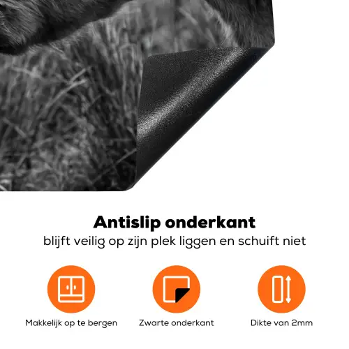 Schotse hooglander - Kalf - Zwart - Wit Inductie beschermer vinyl 3mm klein -zzzzzzz-td-onderkant
