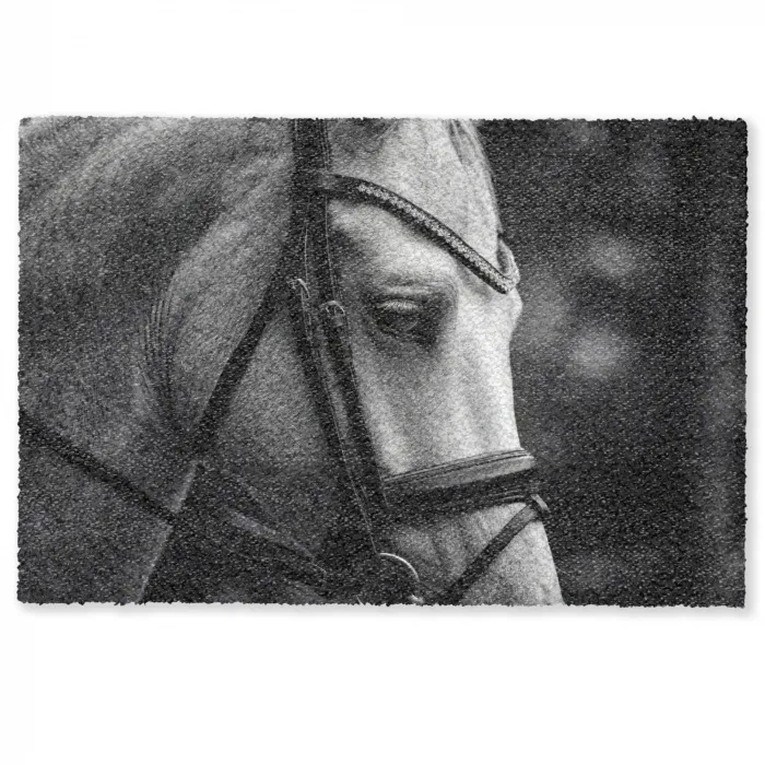 Paard - Schimmel - Portret Deurmat klein -zkaufland3d