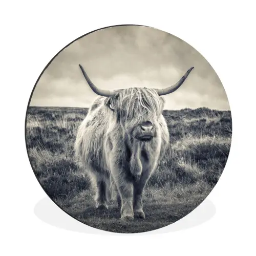 Schotse hooglander - Dieren - Wolken - Koe - Natuur Wandcirkel aluminium klein -3d