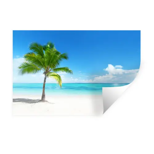 Palmboom - Strand - Zee - Zomer Muursticker klein -3d
