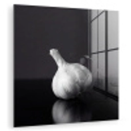 Knoflook - Zwart - Wit plexiglas 5mm klein -zzzproduct_nieuw