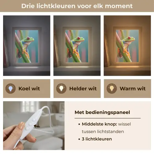 Kleurrijke kikker - Groene stengel - Alert Light Box met kabel (Tafellamp) klein -USP_lichtkleurNL