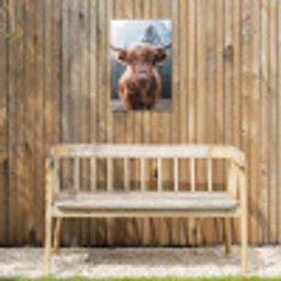 Imposante Hooglander in de Natuur Tuinposter op houten frame 2 cm dik klein -sfeer4