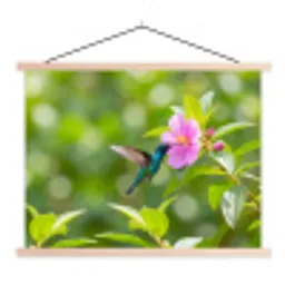 Kolibrie - Bloem - Natuur - Groen textielposter latten blank klein -3d