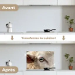 Schaap - Oog - Wit keuken achterwand spatscherm klein -voor_na_FR
