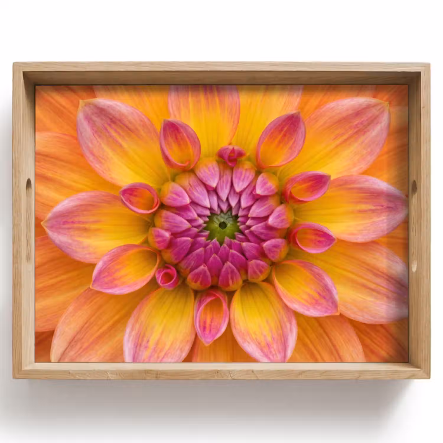 Dienblad - Dahlia - Bloem - Oranje