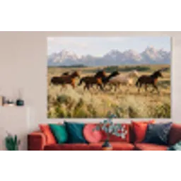 Paarden - Kudde - Bergen - Vrijheid - Wild forex 5mm xxl -woonkamer
