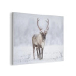 Rendier - Gewei - Toendra - Sneeuw - Wild PET vilt klein -3d