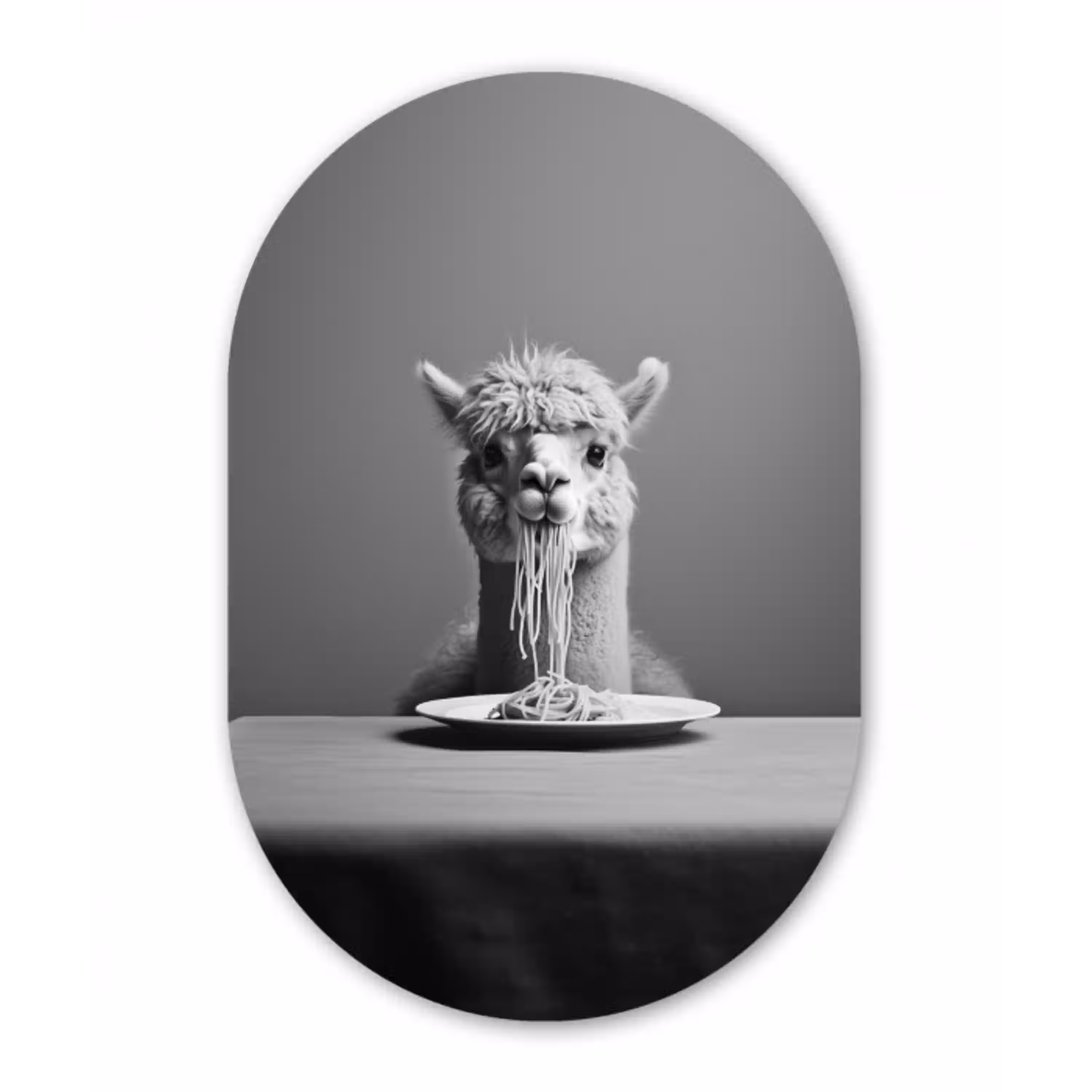 Alpaca - Pasta - Zwart - Wit - Grappig - Dieren Wandcirkel Ovaal Glas middel -3d