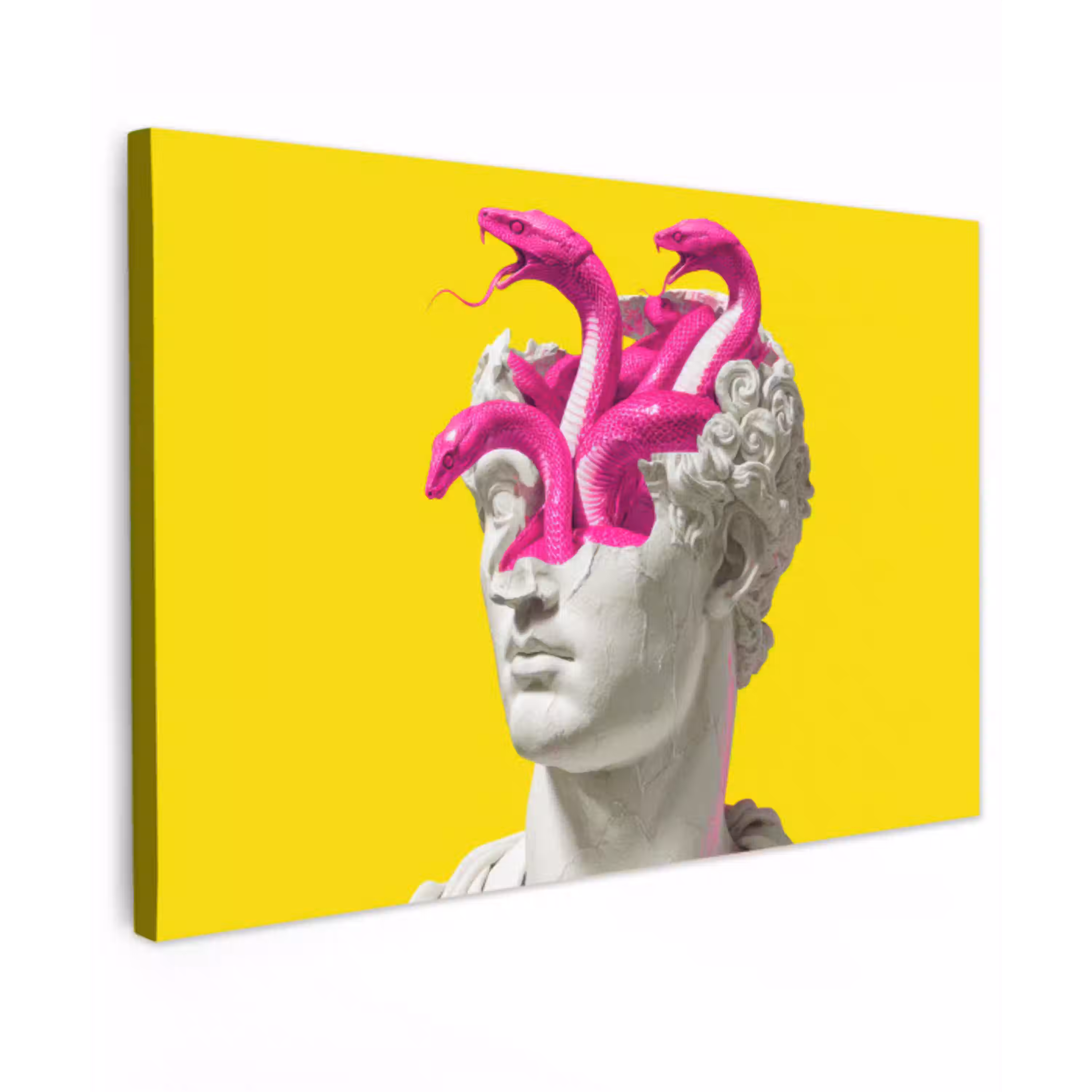 Buste - Slangen - Geel canvas 2cm klein -z3d