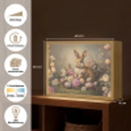 Haas - Stilleven - Bloemen Light Box met batterij (Wandlamp) middel -USP_websiteoverzichtDE