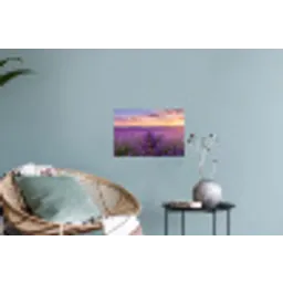 Lavendel - Veld - Natuur - Paars Muursticker klein -plant