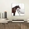 Paard - Modern - Balans plexiglas 5mm klein -sfeer1