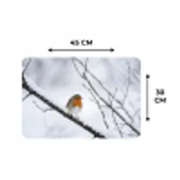 Roodborstje - Tak - Sneeuw - Winter - Levendig Placemat vinyl groot -specs