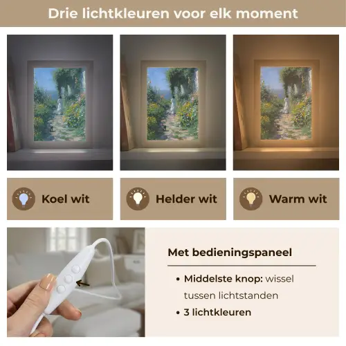 Kat - Vrouw - Bloemen - Huis Light Box met kabel (Tafellamp) klein -USP_lichtkleurNL