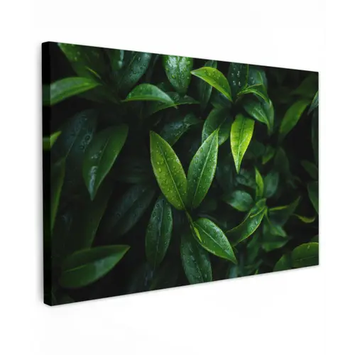 Bladeren - Regendruppels - Licht - Groen canvas 2cm klein -z3d