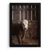 Kalf - Oormerk - Houten stal fotolijst zwart zonder passe partout klein -3d