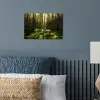 Bomen - Bos - Mos - Planten - Zon - Natuur poster papier klein -sfeer2