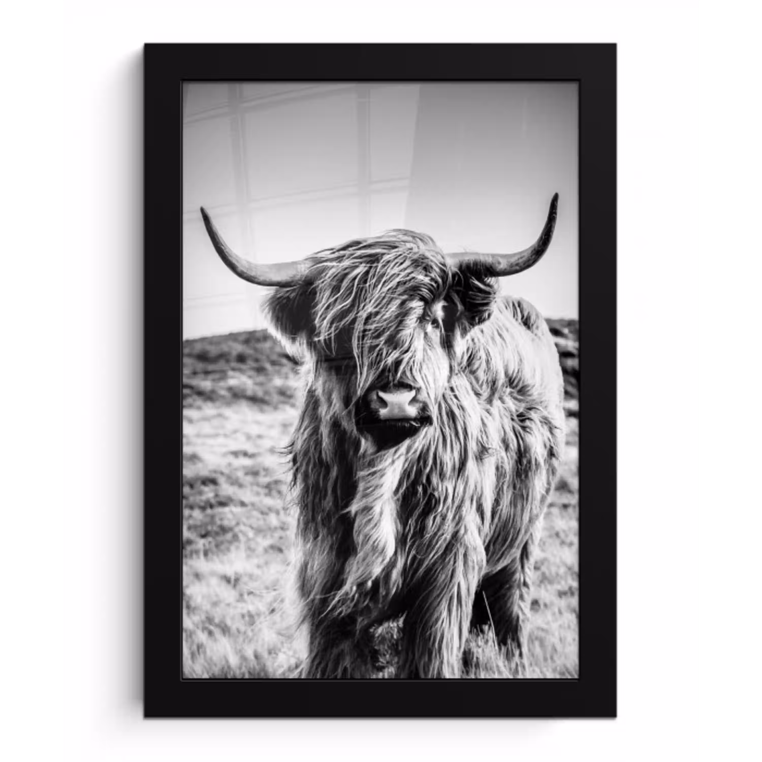 Schotse hooglander - Natuur - Koe - Zwart - Wit fotolijst zwart zonder passe partout klein -3d