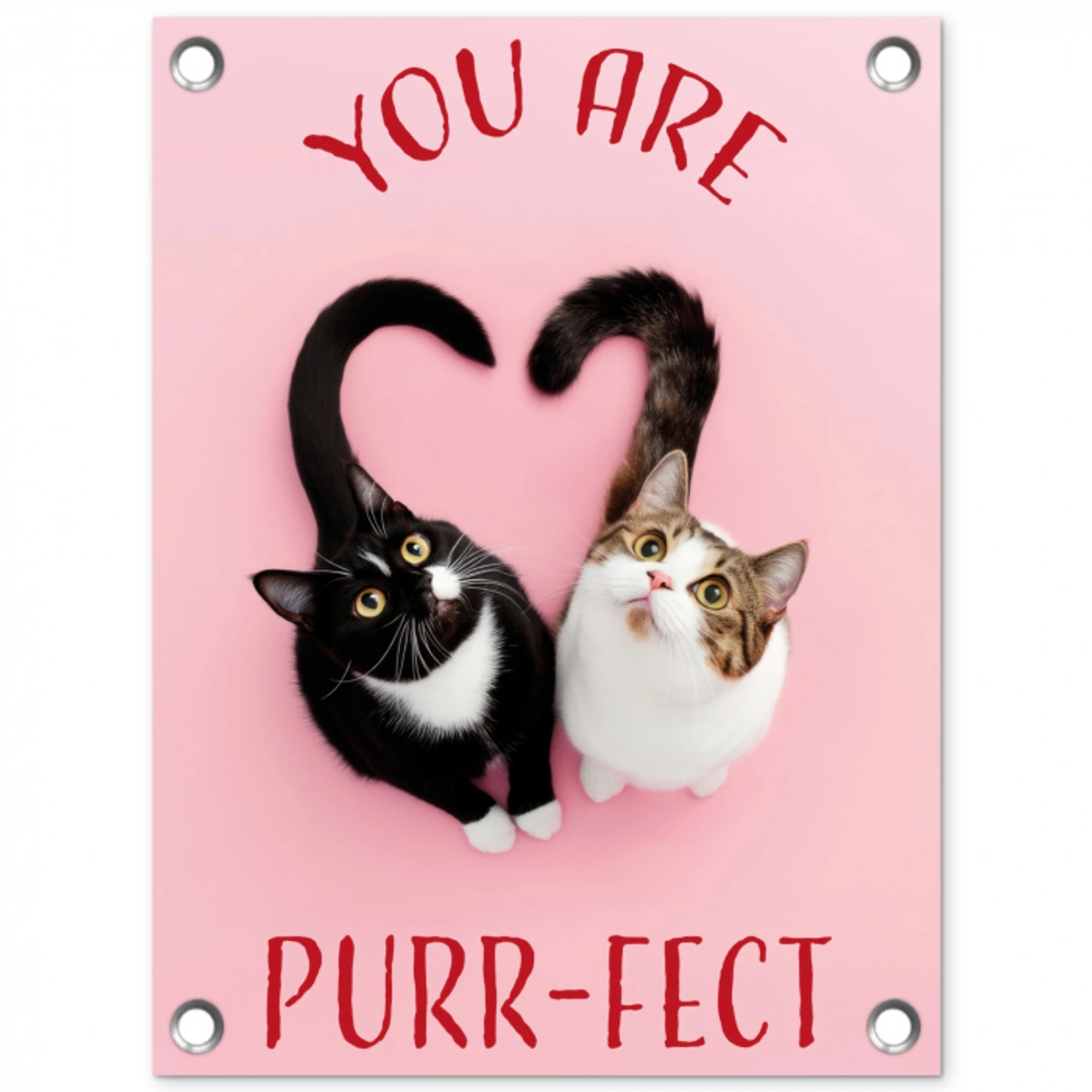 Kat - Hart - Tekst - Valentijn tuinposter los doek klein -3d