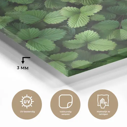 Groen - Bladeren - Kartel - Zonlicht plexiglas 5mm klein -sfeer2