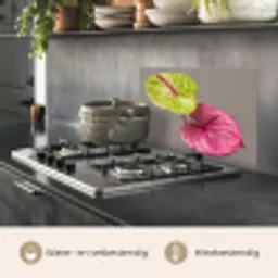 Planten - Anthurium - Groen - Roze keuken achterwand spatscherm klein -usp_NL