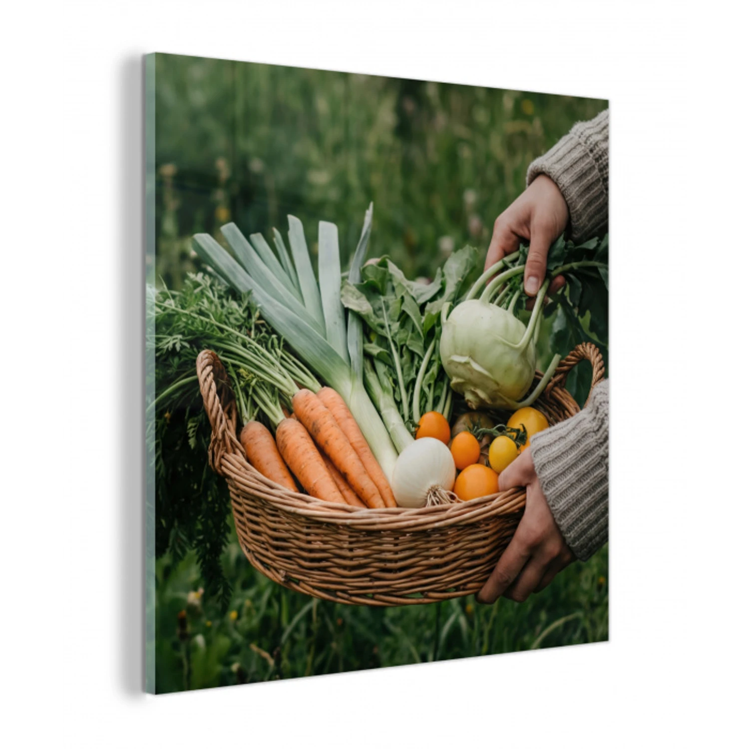 Veld - Groenten - Biologisch - Oogst plexiglas 5mm klein -z3d