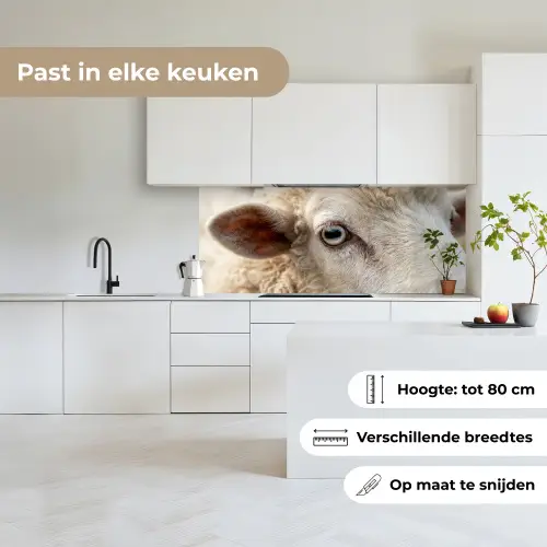 Schaap - Oog - Wit keuken achterwand 2 middel -sfeer4_NL