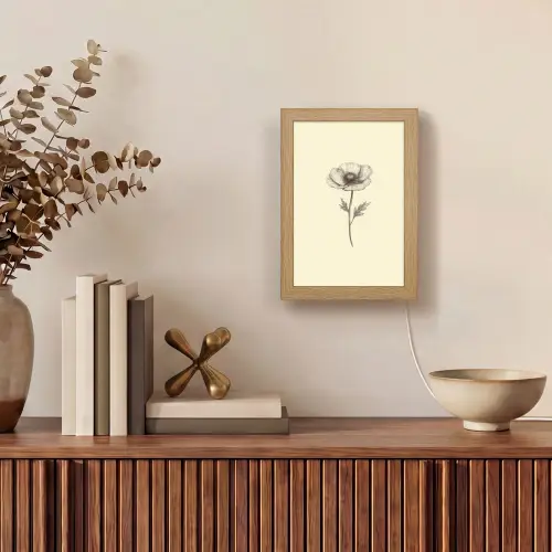 Klaproos - Illustratie - Zwart Light Box met kabel (Tafellamp) klein -sfeer2