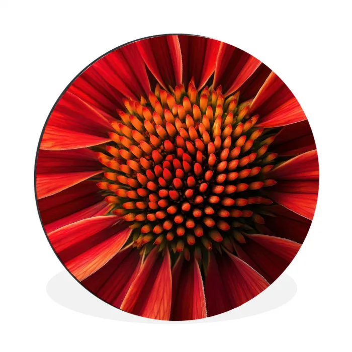 Close up - Bloem- Rood Wandcirkel aluminium klein -3d