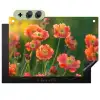 Bloemenveld - Zonnestralen - Oranje Inductie beschemer met haakjes klein -3d