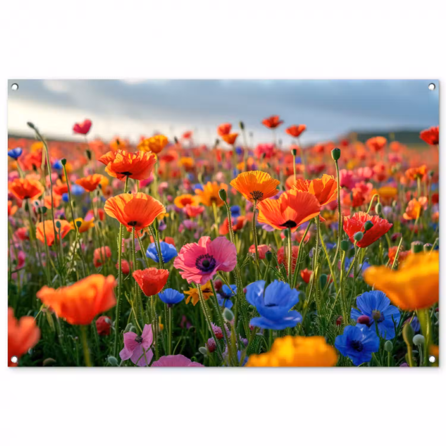 Tuinposter - Bloemenweide in volle bloei