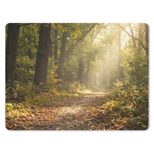 Mouse Pad - Sunlight - Forest path - Trees