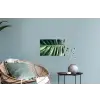 Bladeren - Tropisch - Jungle Muursticker klein -plant