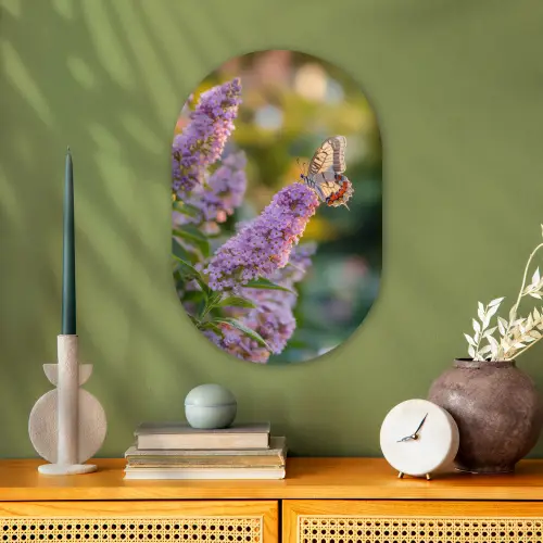 Sierlijke - Vlinder - Paarse - Bloemen Wandcirkel Ovaal Forex klein -sfeer2