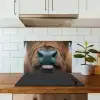 Schotse hooglander - Neus - Bruin keuken achterwand spatscherm klein -sfeer2