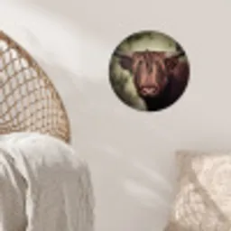 Schotse hooglander - Licht - Portret - Natuur Wandcirkel behangsticker klein -sfeer4