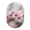 Bloesems - Meeldraden - Geel - Wazig Wandcirkel Ovaal Forex klein -3d