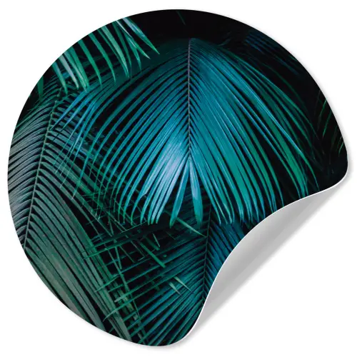 Palmblad - Tropisch - Natuur - Jungle Wandcirkel behangsticker klein -3d