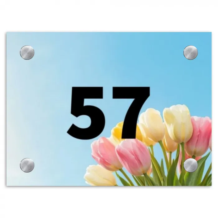 Gekleurde tulpen lucht - Traditioneel Naambord Rechthoek middel -3d