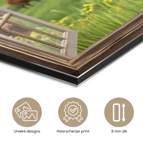 Doorkijk - Koe - Weiland - Landschap - Dieren aluminium wit klein -closeup_NL