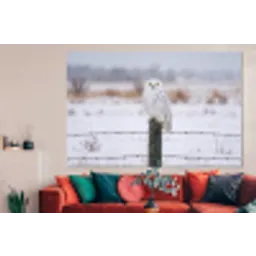 Sneeuwuil - Hek - Sneeuw - Wit forex 5mm xxl -woonkamer
