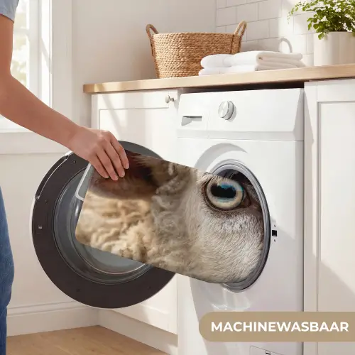 Schaap - Oog - Wit WCmat klein -USP_WasbaarNL